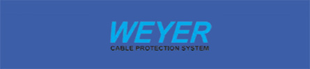 Shanghai Weyer Electric logo